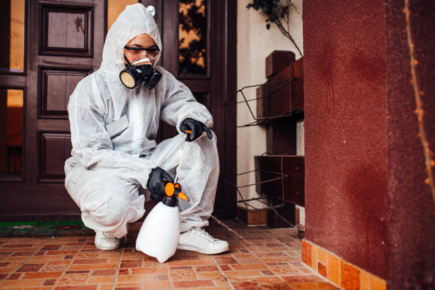 Reliable Cockroach Control contractor in Danville, AR by Nex Pest Control